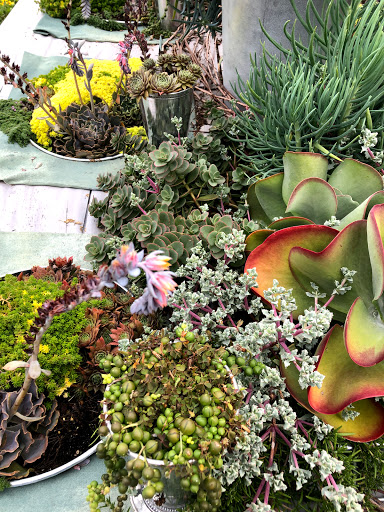 Cafe «Stonewall Kitchen Cafe», reviews and photos, 2 Stonewall Ln #1, York, ME 03909, USA