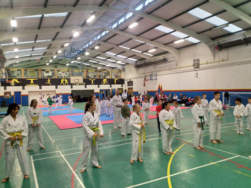 Sport Taekwondo Ireland