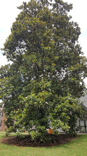 Event Venue «Belle Meade Plantation», reviews and photos, 5025 Harding Pike, Nashville, TN 37205, USA