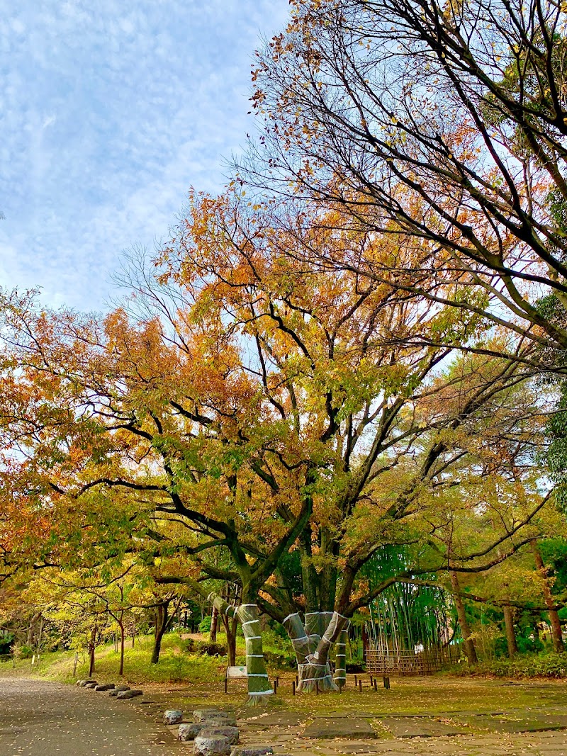 四季の香公園 武蔵野の原風景