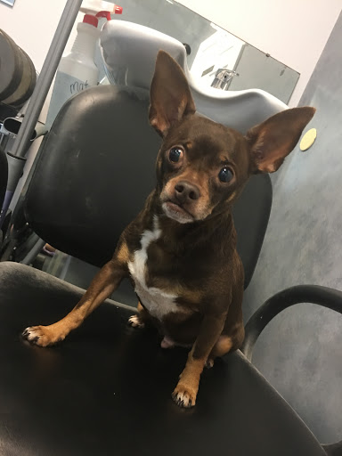 Used Bicycle Shop «VéloCity Bicycle Cooperative», reviews and photos