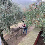 Photo n°1 de l'avis de Daniele.i fait le 26/03/2023 à 14:08 sur le  Agriturismo Podere Santa Rita à Casalguidi