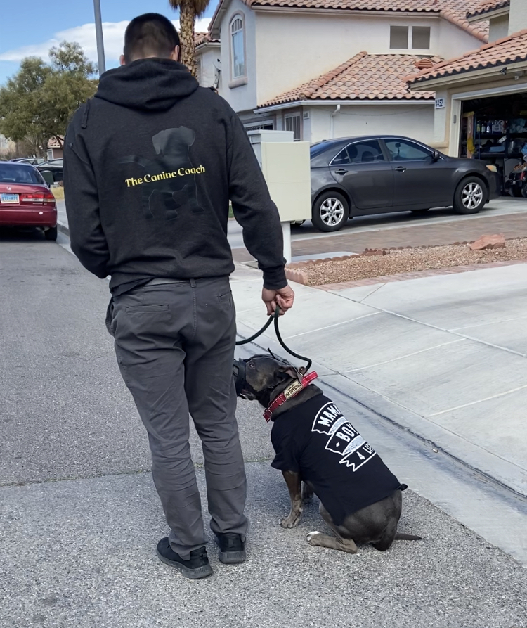 The Canine Coach - Las Vegas