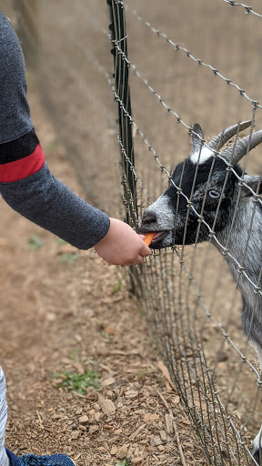 Christmas Tree Farm «Sleepy Hollow Farm & Escape Woods», reviews and photos, 628 Sleepy Hollow Rd, Powder Springs, GA 30127, USA