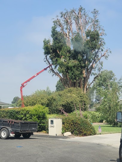 Corona's Tree Service, Inc.