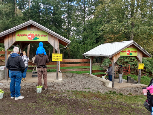 Amusement Center «Maris Farms», reviews and photos, 25001 Sumner Buckley Hwy, Buckley, WA 98321, USA