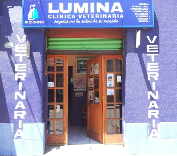 Opiniones de Lumina en Valparaíso - Veterinario