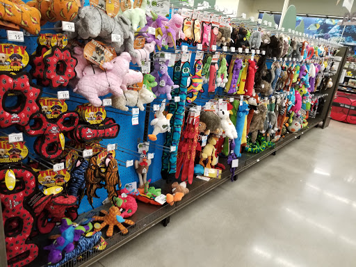 Pet Supply Store «Petco Animal Supplies», reviews and photos, 3551 W Hillsboro Blvd, Deerfield Beach, FL 33442, USA