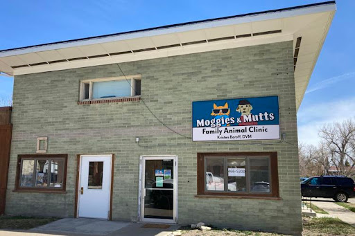 Moggies and Mutts Family Animal Clinic image