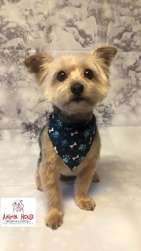 Pet Supply Store «Animal House Grooming & Quality», reviews and photos, 229 W Absecon Blvd, Absecon, NJ 08201, USA