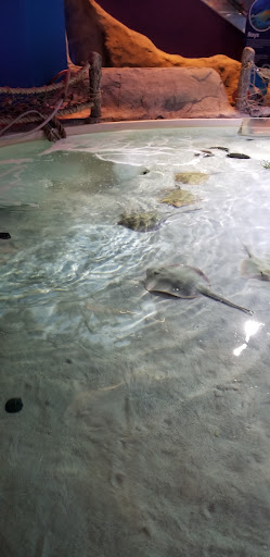 Theme Park «Nickelodeon Universe», reviews and photos, 5100 E Broadway, Bloomington, MN 55425, USA