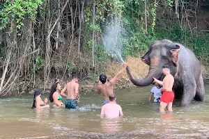 Thom's Pai Elephant Camp image
