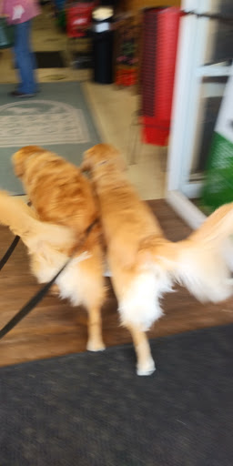 Pet Supply Store «Essex County Co-Op», reviews and photos, 146 S Main St, Topsfield, MA 01983, USA