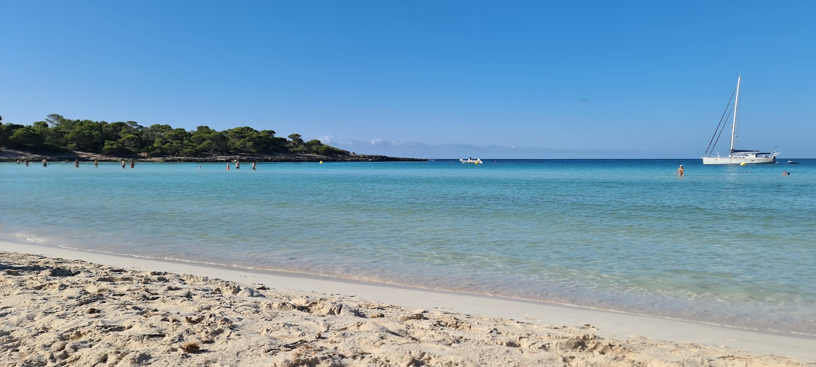 Platja de Son Saura photo #6