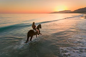 Horseriding right on the beach -Tarifa image