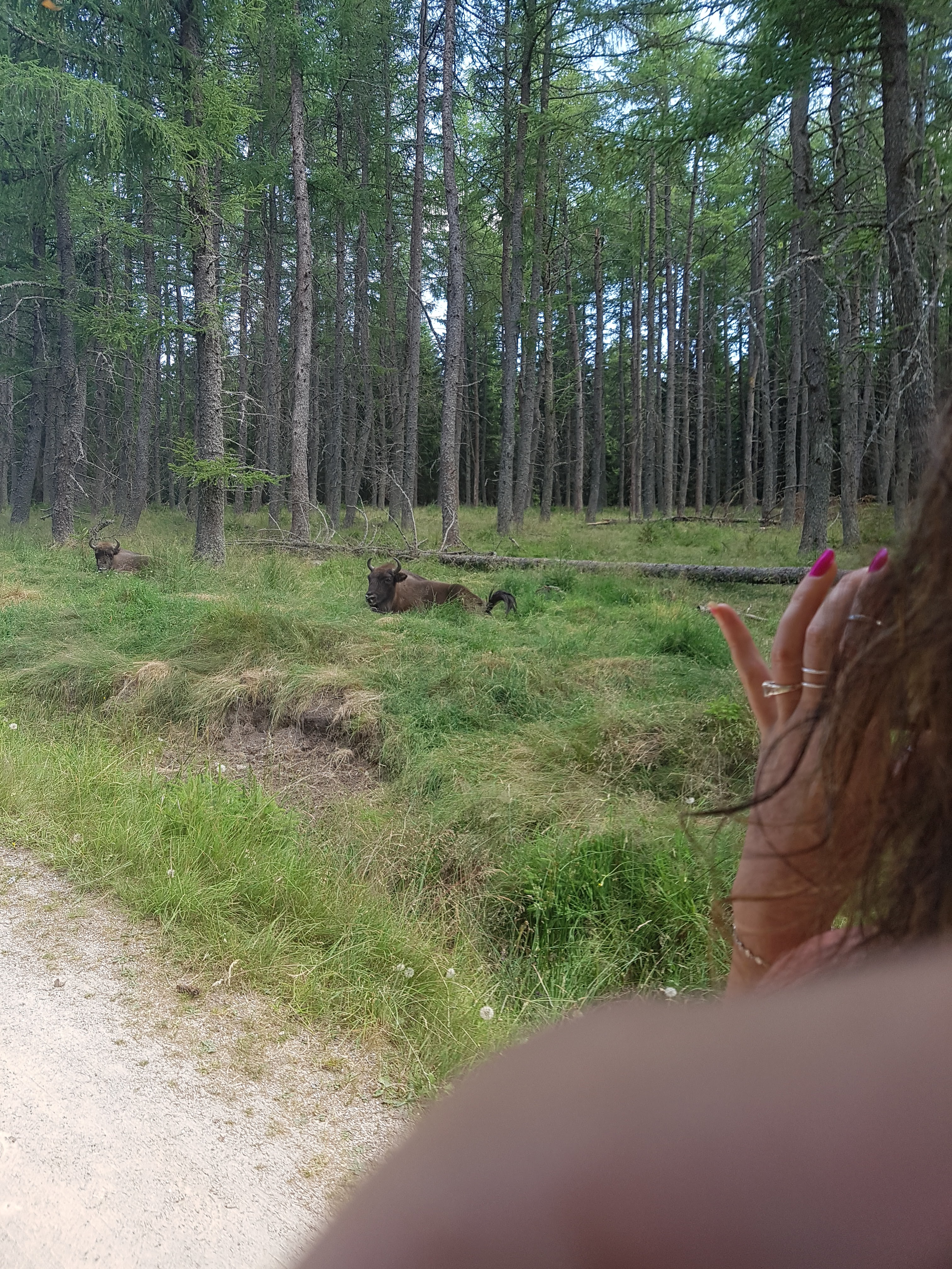 Photo n° 4 de l'avis de Mick.u fait le 26/07/2018 à 19:41