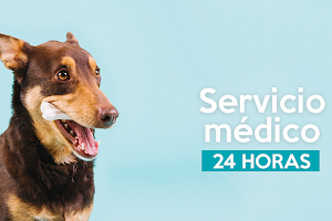 CIVE Medical Pets image