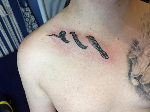 Explore wv tattoo ideas, creative tattoo ideas in Denver, available at Mile High Ink