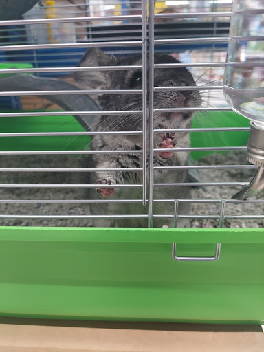 Pet Supply Store «Chow Hound Pet Supplies», reviews and photos, 5265 Northland Dr NE, Grand Rapids, MI 49525, USA