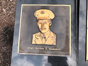 Veterans Memorial at Dan Daniel Memorial Park - photo 12