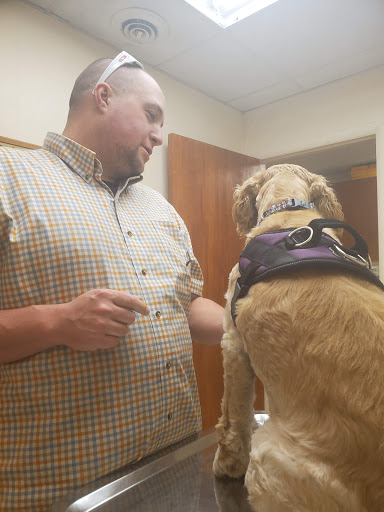 Animal Medical Clinic image