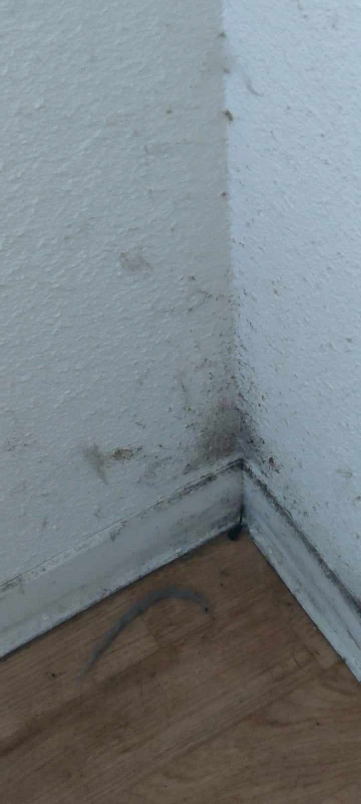 Photo n° 4 de l'avis de ludietgreg.d fait le 19/11/2023 à 10:38
