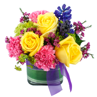 Florist «Blue Moon Florist & Gift Shop», reviews and photos, 1107 Horseshoe Pike, Downingtown, PA 19335, USA