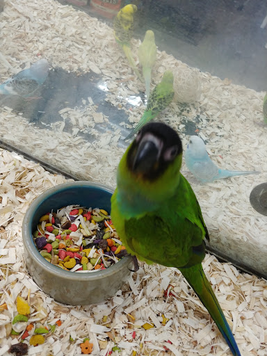 Pet Supply Store «Our Pet World», reviews and photos, 380 Semoran Commerce Pl, Apopka, FL 32703, USA