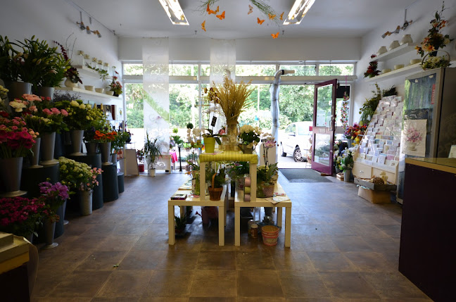 Comments and reviews of Sandras Florist