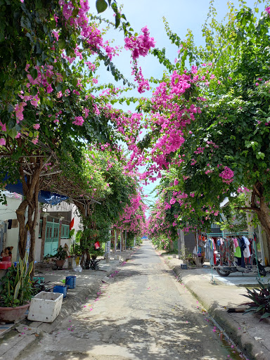 Con Đường Hoa Giấy