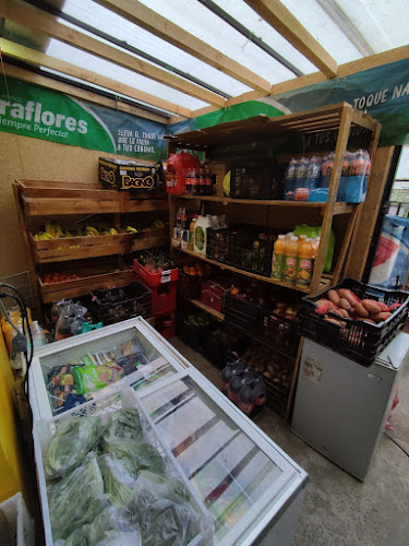 Opiniones de Minimarket "Amor Saludable" en Concepción - Frutería
