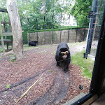 Photo n° 11 de l'avis de dimitri.e fait le 09/06/2019 à 16:37 pour Zoo de Maubeuge à Maubeuge