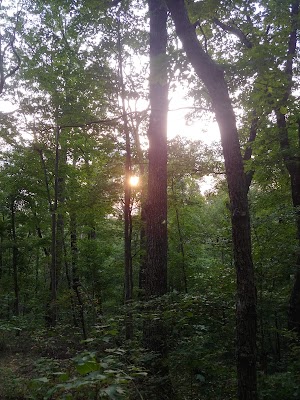 Berea Forest Trail - photo 39