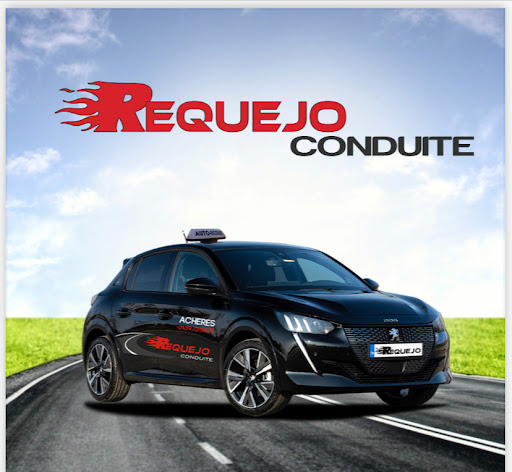 Requejo Conduite à Achères, Yvelines