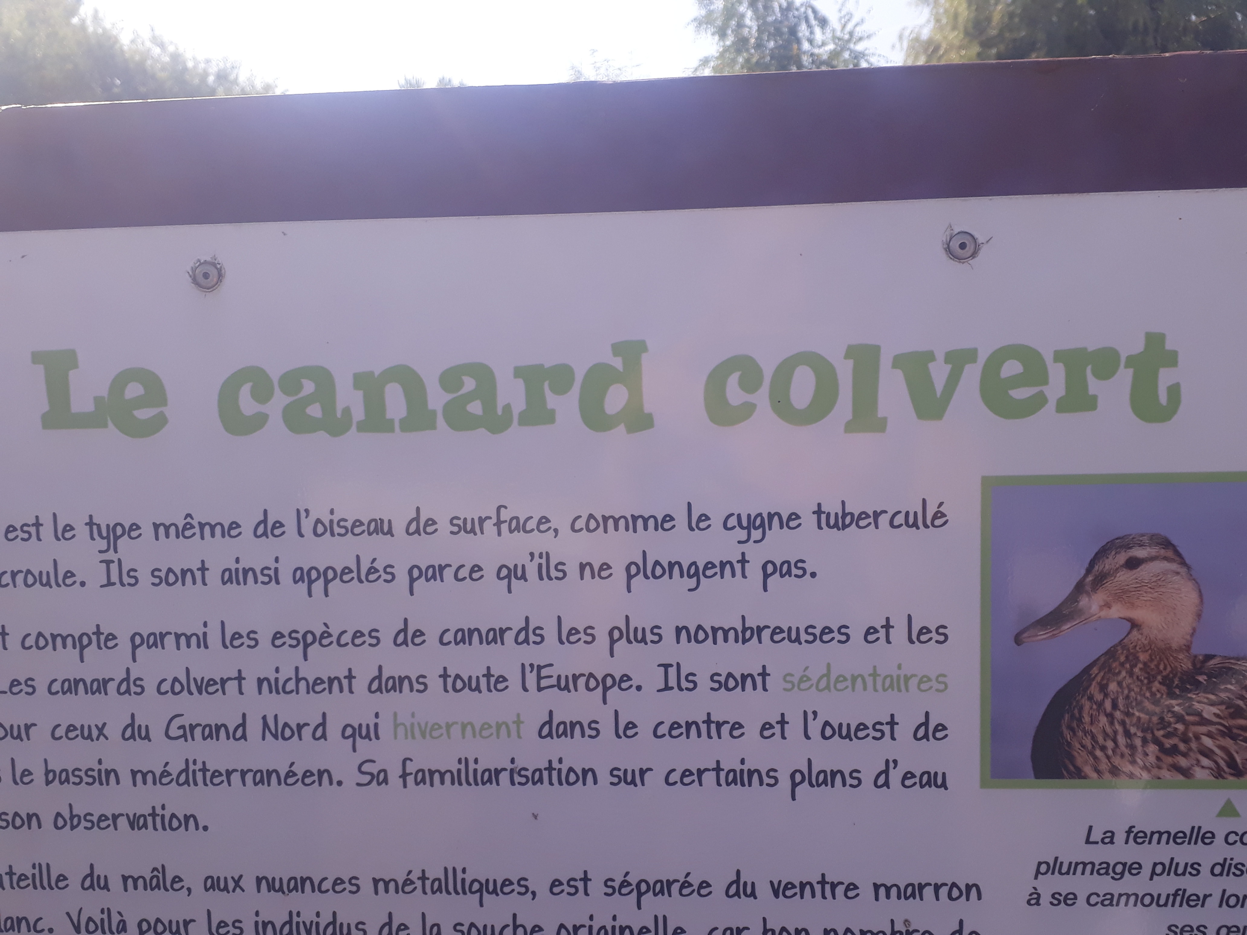 Photo n° 6 de l'avis de Karine.o fait le 13/08/2019 à 20:41