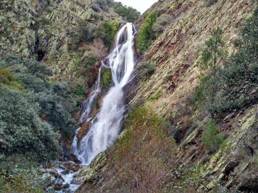 Station Pinofranqueado en Pinofranqueado, Cáceres‎