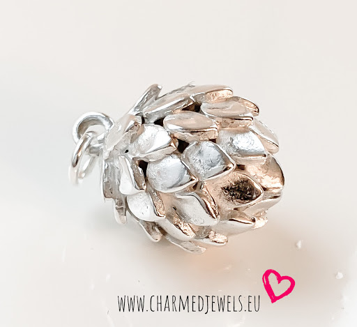 Workshop Zilveren Sieraden | Art Clay Silver - Zilverklei | Charmed Jewels
