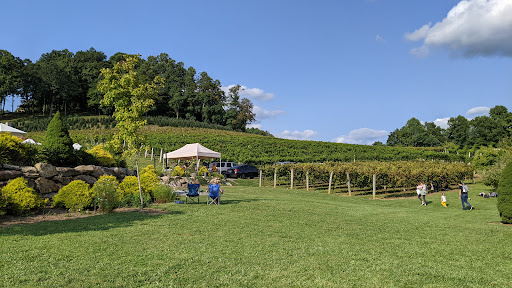 Vineyard «Linville Falls Winery», reviews and photos, 9557 Linville Falls Hwy, Newland, NC 28657, USA