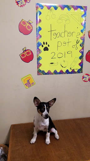 Pet Supply Store «Mud Bay», reviews and photos, 2410 Harrison Ave NW, Olympia, WA 98502, USA