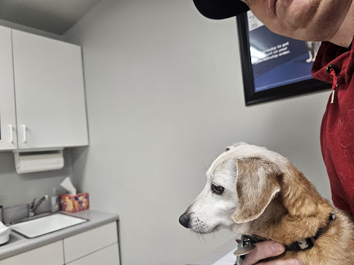 Lilac City Veterinary Services image