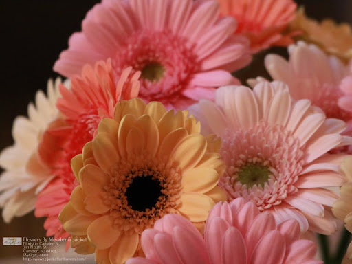 Florist «Flowers By Mendez & Jackel», reviews and photos, 711 N 27th St, Camden, NJ 08105, USA