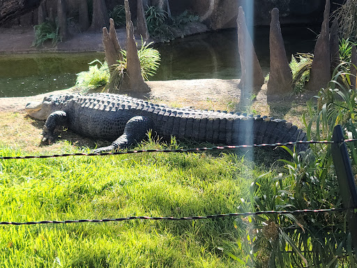 Zoo «Reid Park Zoo», reviews and photos, 3400 Zoo Court, Tucson, AZ 85716, USA