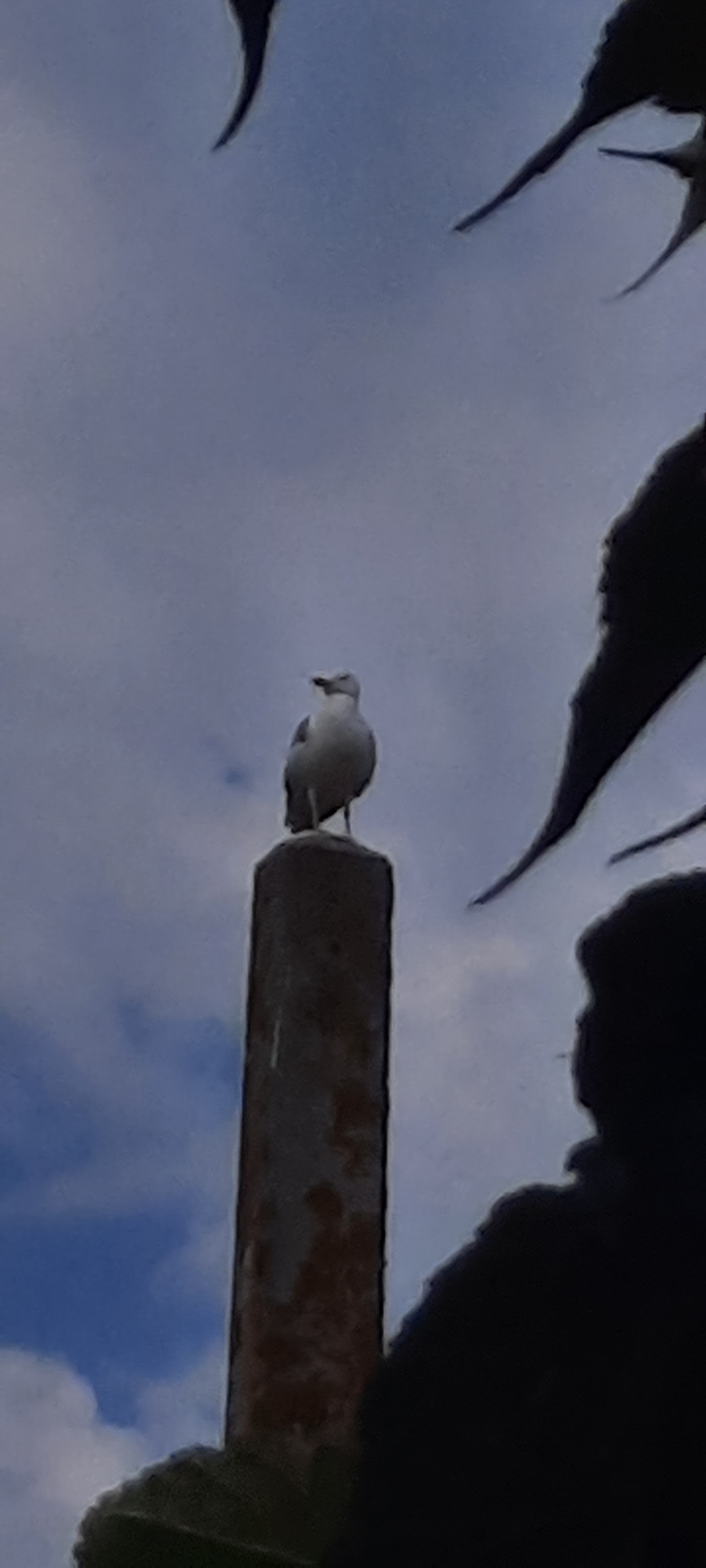 Photo n° 2 de l'avis de Eric.a fait le 24/08/2023 à 11:41