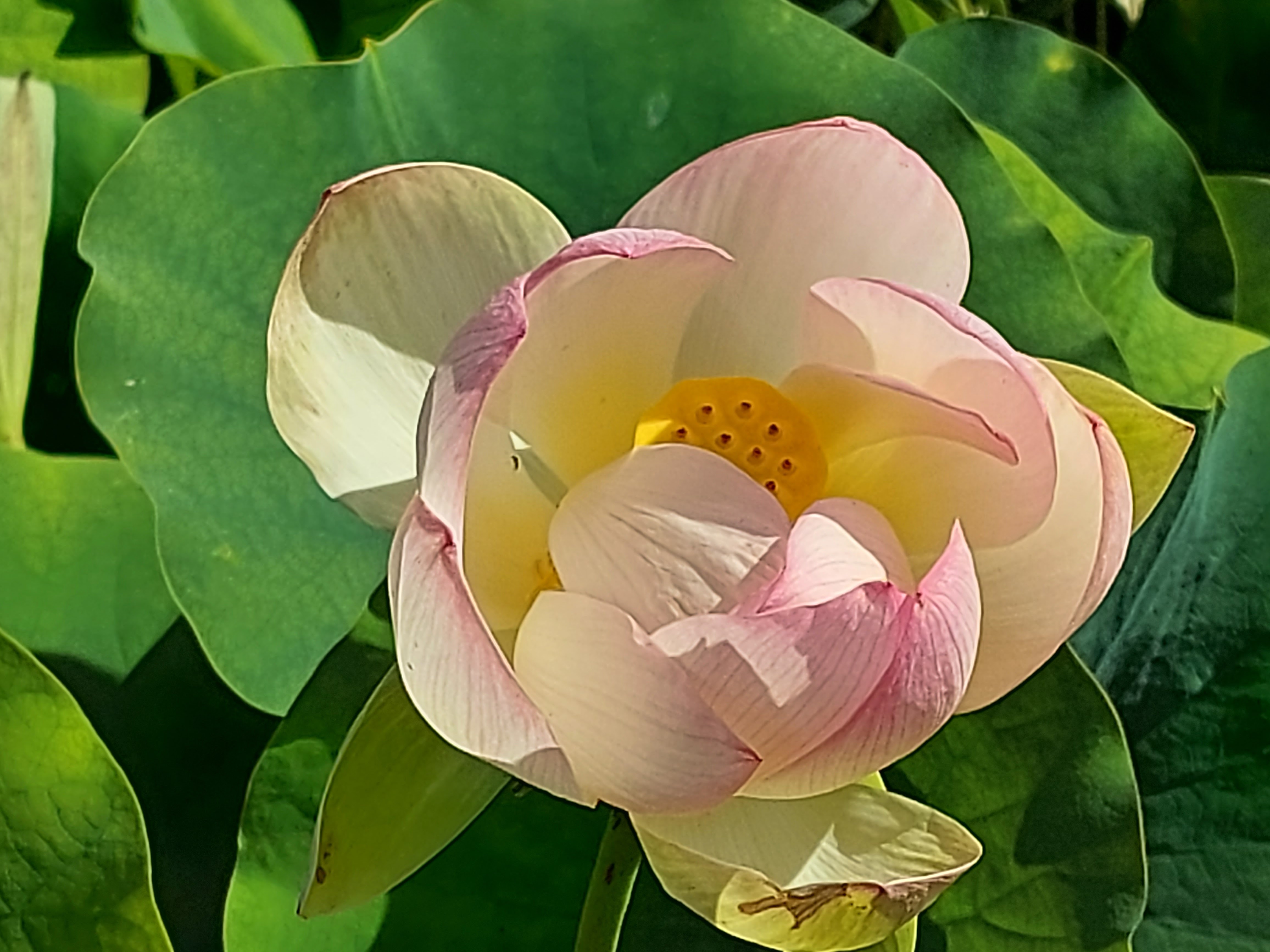 Photo n° 16 de l'avis de Brigitte.o fait le 02/09/2021 à 08:01