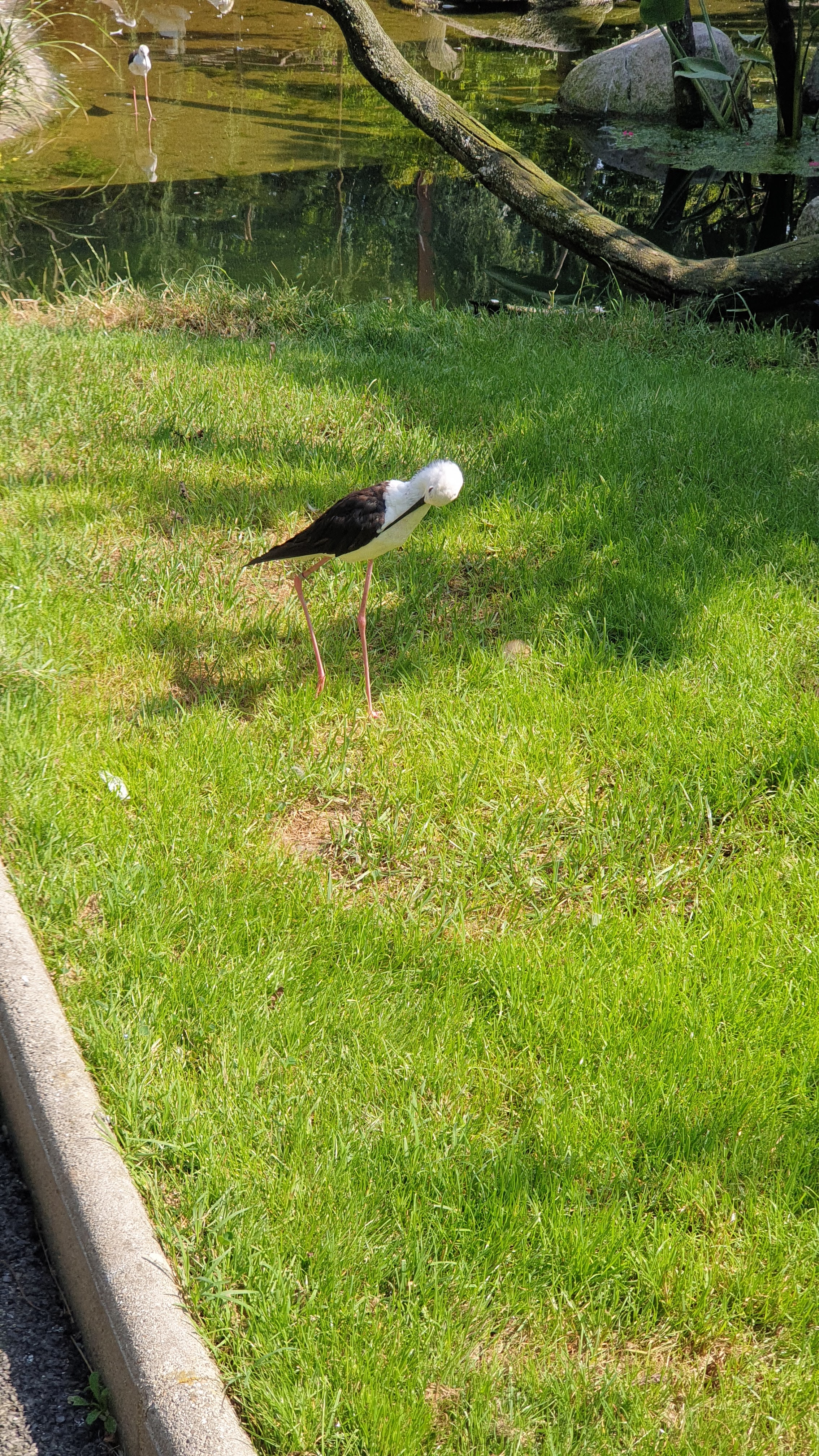 Photo n° 4 de l'avis de frédéric.e fait le 21/07/2022 à 14:28