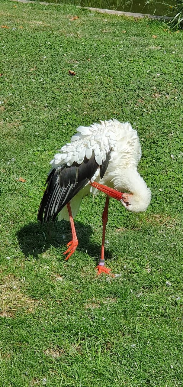 Photo n° 1 de l'avis de Jean.a fait le 18/05/2023 à 12:05