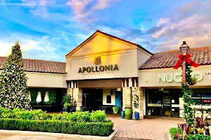 Apollonia Grill - Landings Sarasota image