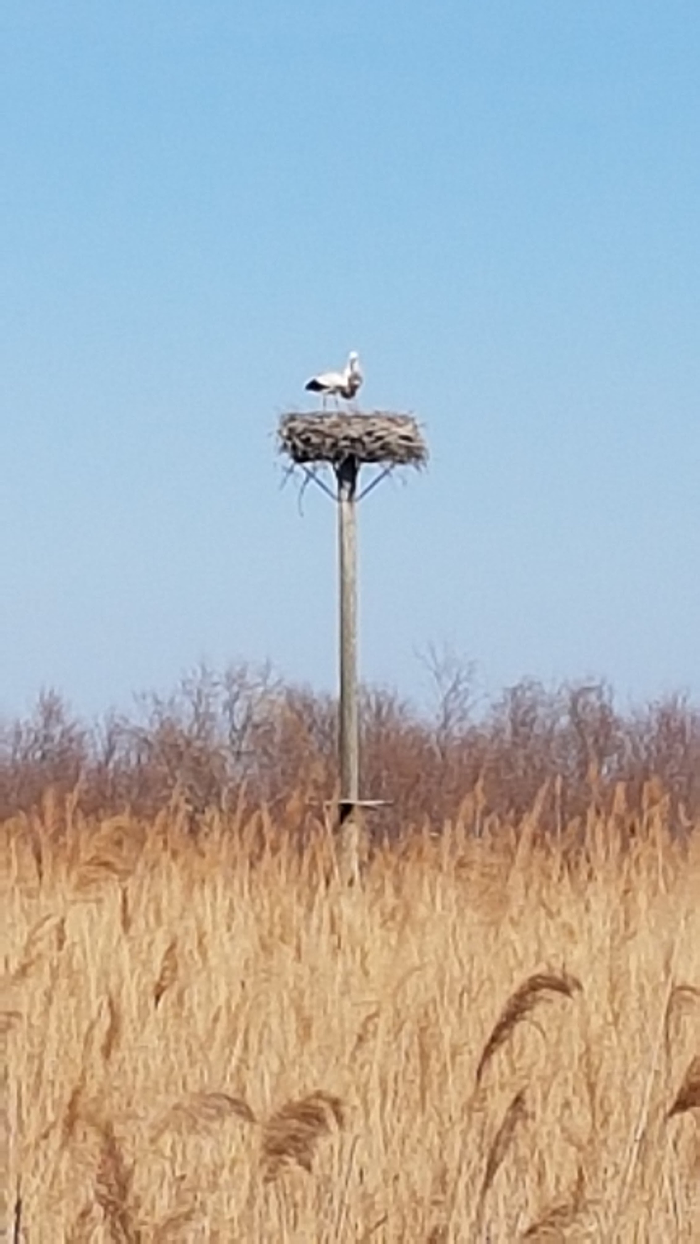 Photo n° 1 de l'avis de Yoni.o fait le 05/03/2019 à 17:47