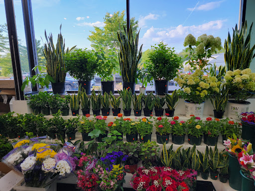 Grocery Store «Central Farmers Market», reviews and photos, 598 Central Ave, New Providence, NJ 07974, USA