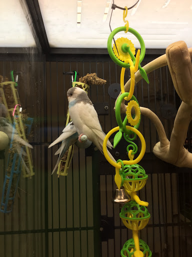 Pet Supply Store «PetSmart», reviews and photos, 12971 Fair Lakes Pkwy, Fairfax, VA 22033, USA